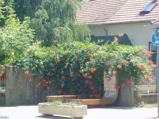 Gyula, Pálffy A. u. 03. 1.kép.jpg Gyula, Pálffy A. u. 03. 1.kép.jpg